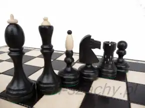 Čierne a svetlé turnajové figúrky